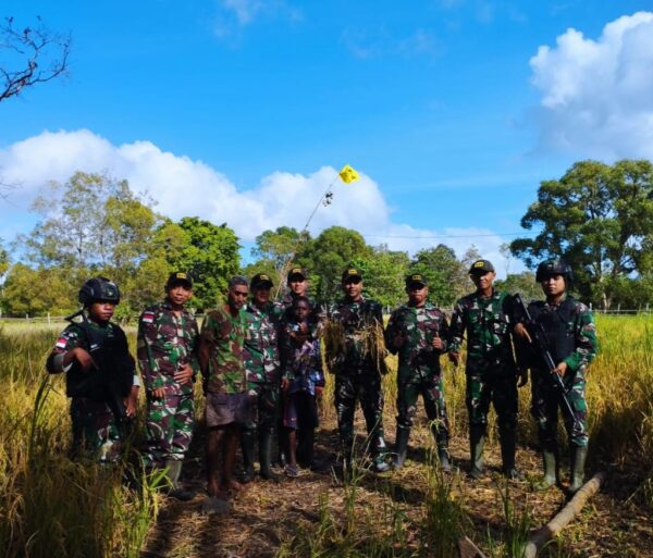 Dukung Ketahanan Pangan, Satgas Pamtas RI-PNG Statis Yonif 511/DY Bantu Warga Panen Padi Di Perbatasan Papua