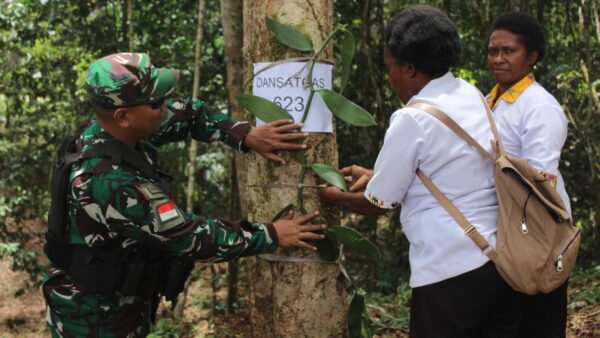 Satgas Yonif 623 Bersama Pemda Kabupaten Maybrat Penanaman Perdana Tanaman Vanili