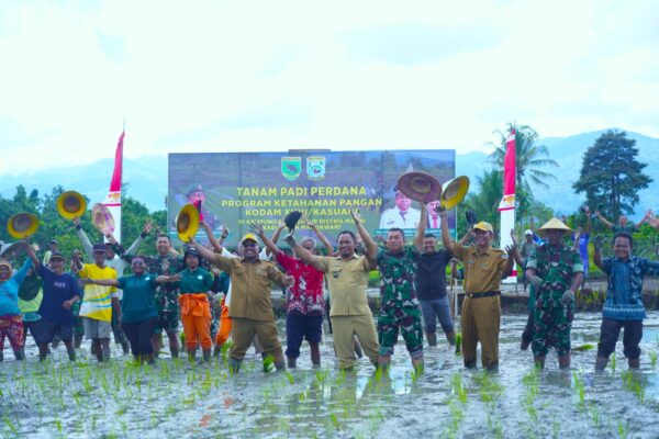 Dukung Ketahanan Pangan Di Wilayah Papua Barat, Kodam Kasuari Tanam Padi Perdana Di Kampung Bowi Subur