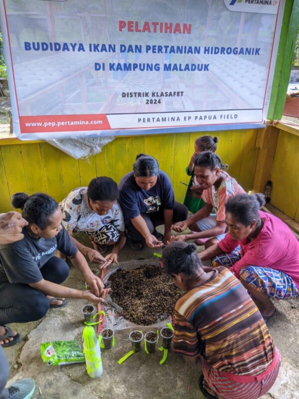 SKK Migas-Pertamina EP Papua Gelar Pelatihan BUKAN TANI, Tingkatkan Kemandirian Pangan Kampung Maladuk