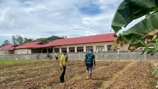 Dukung Asta Cita Presiden, Biro SDM Polda Papua Barat Daya Tanam Jagung Pipil di Lahan Produktif
