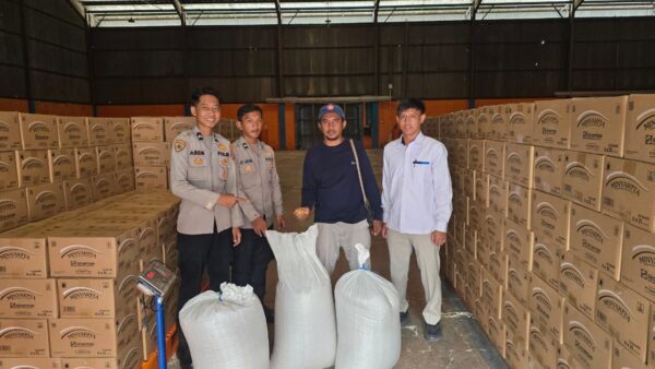 Polda Papua Barat Daya Serap Jagung Pipil, Distribusikan ke Bulog Sorong