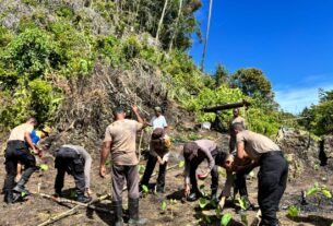 Polres Maybrat Dukung Ketahanan Pangan Melalui Penanaman Jagung di Kampung Kambuwifa