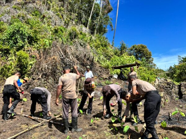 Polres Maybrat Dukung Ketahanan Pangan Melalui Penanaman Jagung di Kampung Kambuwifa