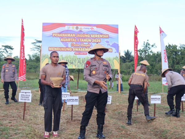 Dipimpin Kapolda Gatot Haribowo, Polda Papua Barat Daya Tanam Jagung Pipil Serentak Dukung Ketahanan Pangan Nasional