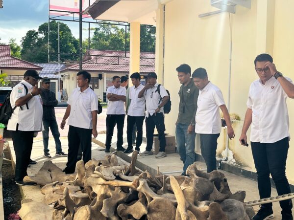 Ancaman Nyata bagi Ekosistem: Polda PBD Ungkap Kasus Perdagangan Satwa Dilindungi