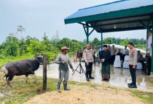 Wakapolda Serahkan Hewan Kurban Iduladha 1447 H ke Pondok Pesantren FAHD AL MUSLIM