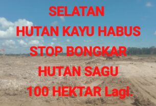 Ketua FORKOM IMEKKO Bersatu Papua Barat Daya Kecam Rencana Pembebasan 100 Hektar Hutan Sagu di Sorong Selatan