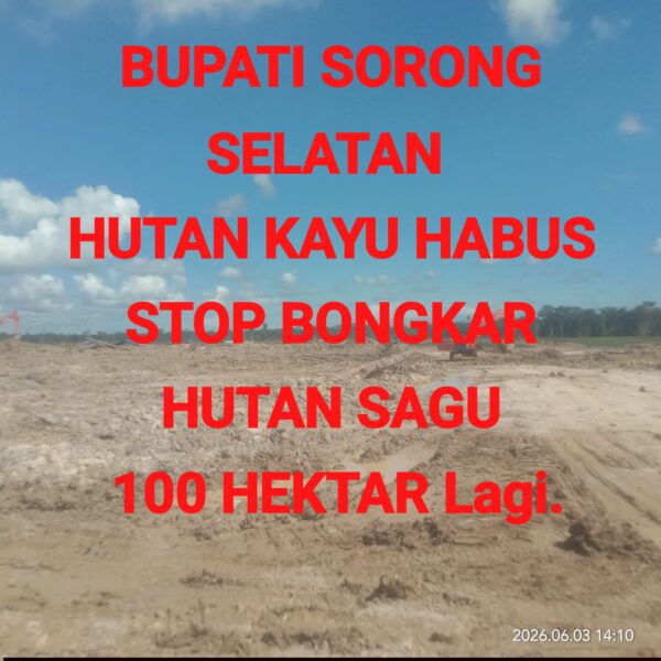 Ketua FORKOM IMEKKO Bersatu Papua Barat Daya Kecam Rencana Pembebasan 100 Hektar Hutan Sagu di Sorong Selatan
