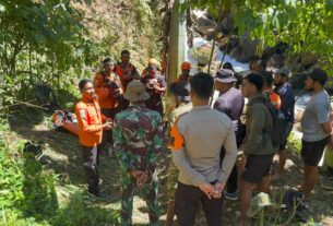 Tim K-9 Polda Papua Barat Terkendala Cuaca Dingin dalam Pencarian Yanto Idorway