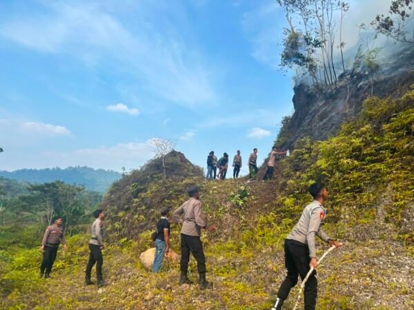 Polisi Bergerak Cepat, Kebakaran Lahan di Dekat Kediaman Wabup Tambrauw Berhasil Dipadamkan