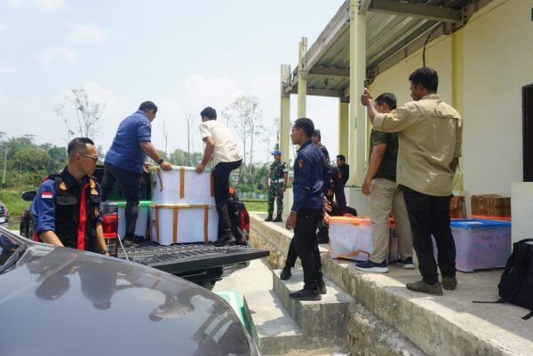Kejati Papua Barat Geledah Kantor Balai Gakkum KLHK di Sorong, 14 Kontainer dan Dus Dokumen Disita