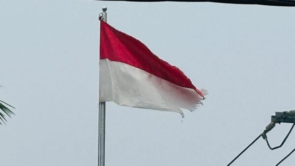 Bendera Merah Putih Sobek Berkibar di Kantor Dinkes Kota Sorong, Penghormatan Simbol Negara Dipertanyakan